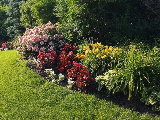 Along The Way Along The Way